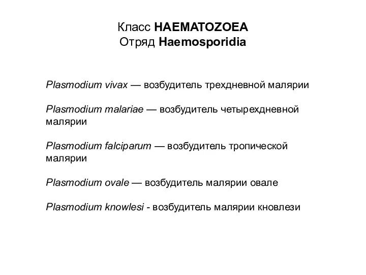 Класс HAEMATOZOEA Отряд Haemosporidia Plasmodium vivax — возбудитель трехдневной малярии