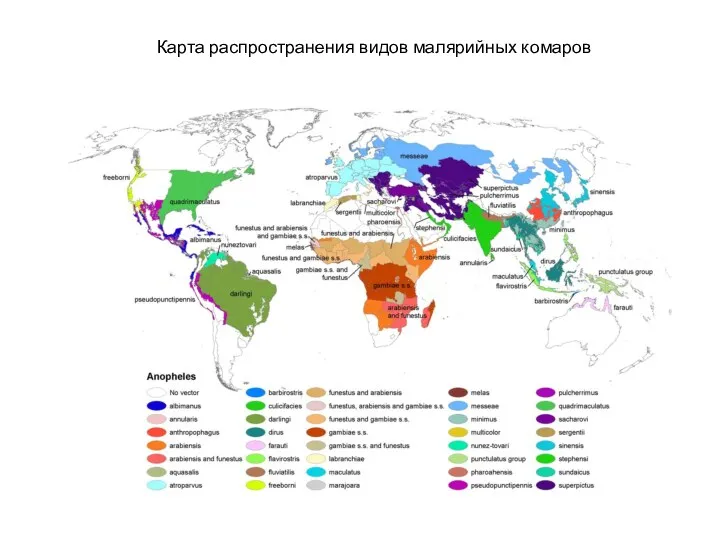 Карта распространения видов малярийных комаров