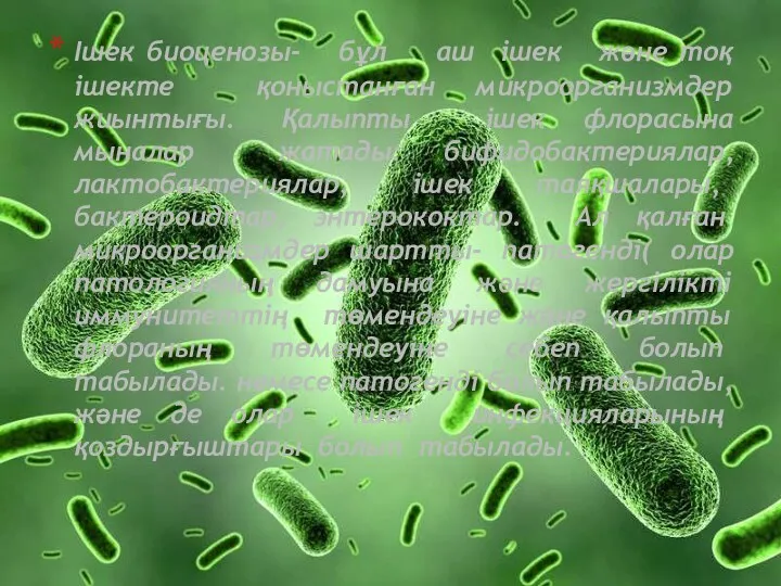 Ішек биоценозы- бұл аш ішек және тоқ ішекте қоныстанған микроорганизмдер