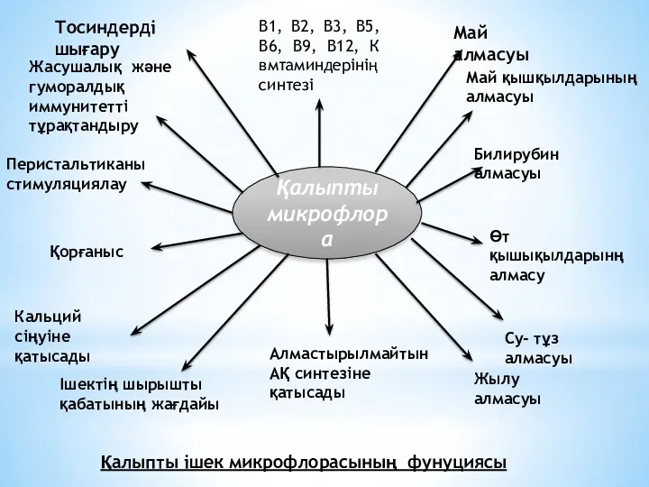 Қалыпты ішек микрофлорасының фунуциясы Қалыпты микрофлора Тосиндерді шығару В1, В2,