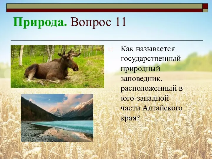 Природа. Вопрос 11 Как называется государственный природный заповедник, расположенный в юго-западной части Алтайского края?