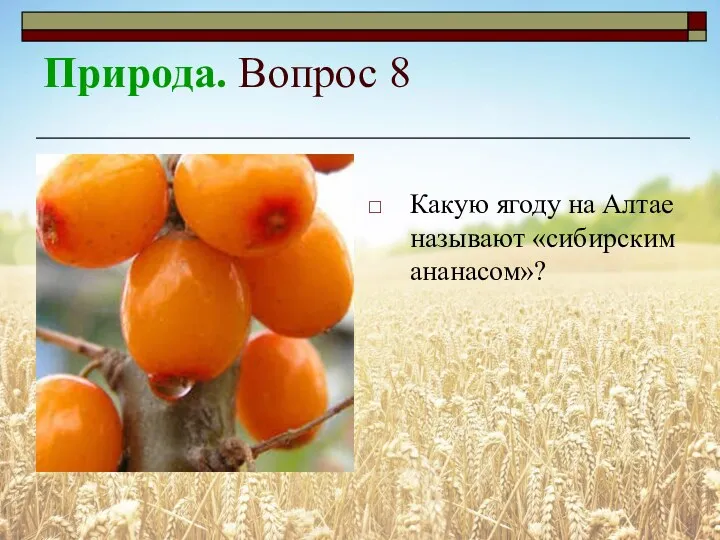 Природа. Вопрос 8 Какую ягоду на Алтае называют «сибирским ананасом»?