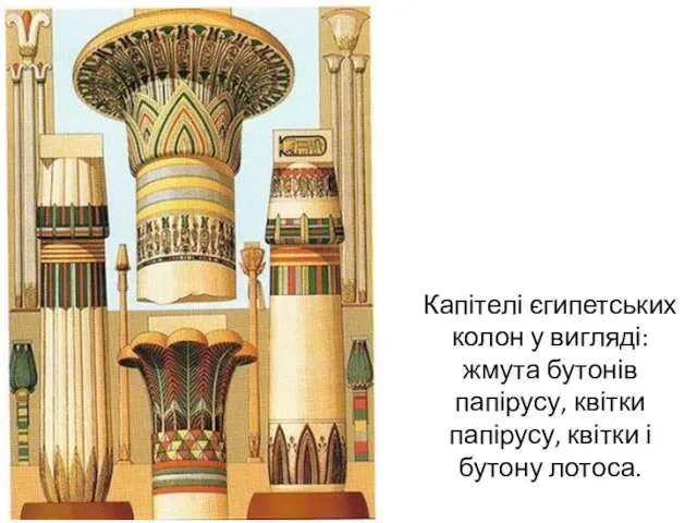 Капітелі єгипетських колон у вигляді: жмута бутонів папірусу, квітки папірусу, квітки і бутону лотоса.