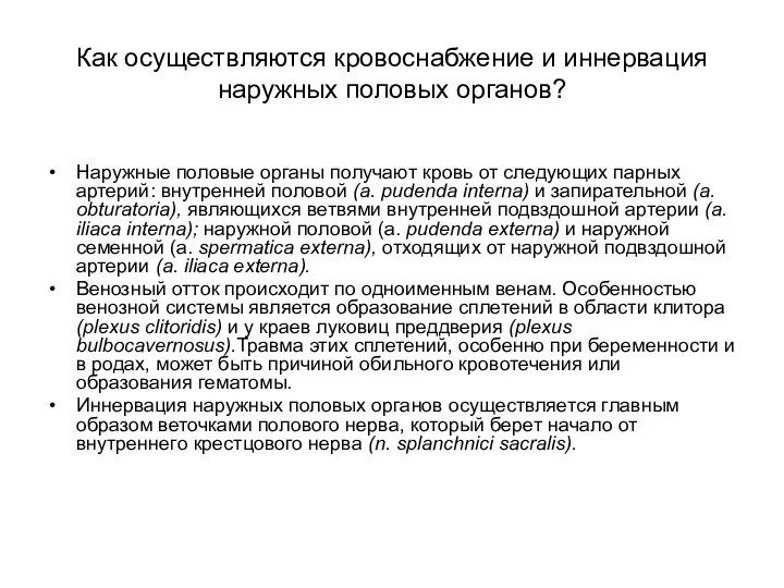 Как осуществляются кровоснабжение и иннервация наружных половых органов? Наружные половые