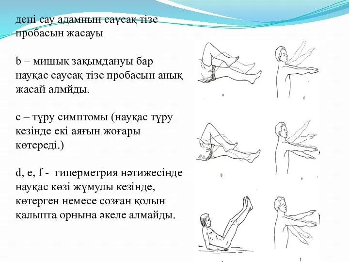 дені сау адамның саүсақ тізе пробасын жасауы b – мишық