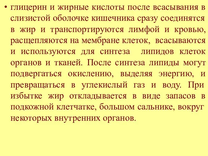 глицерин и жирные кислоты после всасывания в слизистой оболочке кишечника