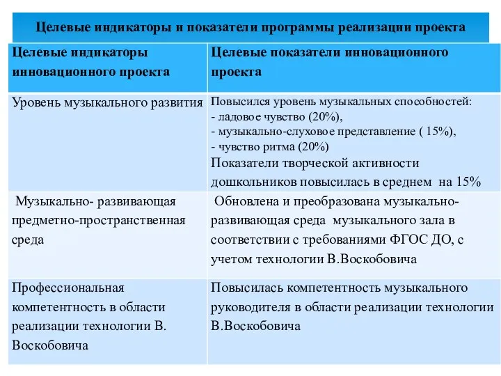 Целевые индикаторы и показатели программы реализации проекта