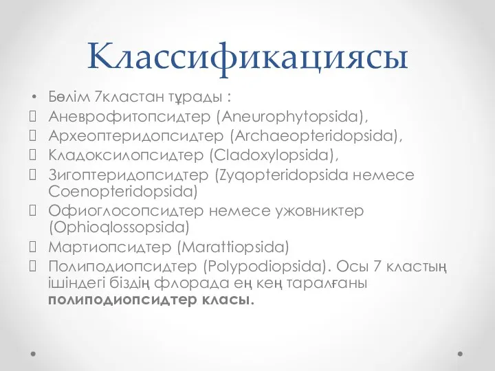 Классификациясы Бөлім 7кластан тұрады : Аневрофитопсидтер (Aneurophytopsida), Археоптеридопсидтер (Archaeopteridopsida), Кладоксилопсидтер