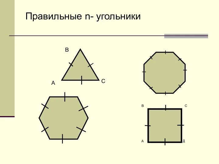 Правильные n- угольники