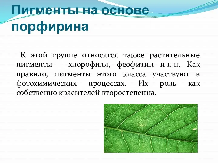 Пигменты на основе порфирина К этой группе относятся также растительные пигменты — хлорофилл,