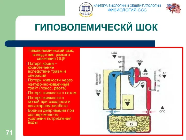 ГИПОВОЛЕМИЧЕСКЙ ШОК Гиповолемический шок, вследствие резкого снижения ОЦК Потеря крови