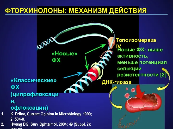 ДНК-гираза «Классические» ФХ (ципрофлоксацин, офлоксацин) ФТОРХИНОЛОНЫ: МЕХАНИЗМ ДЕЙСТВИЯ K. Drlica,