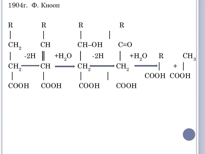 1904г. Ф. Кнооп R R R R │ │ │
