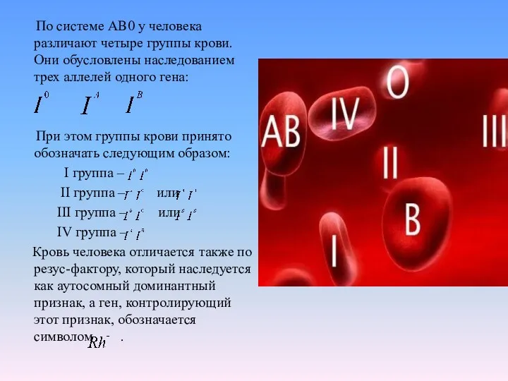 По системе АВ0 у человека различают четыре группы крови. Они