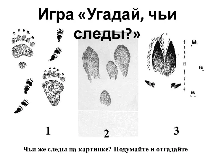 Игра «Угадай, чьи следы?» 2 Чьи же следы на картинке? Подумайте и отгадайте