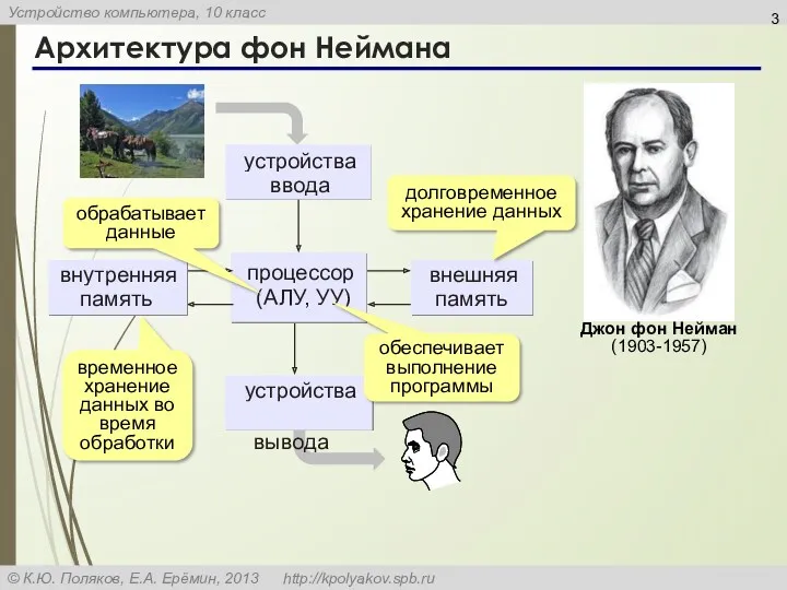 Архитектура фон Неймана обрабатывает данные обеспечивает выполнение программы временное хранение