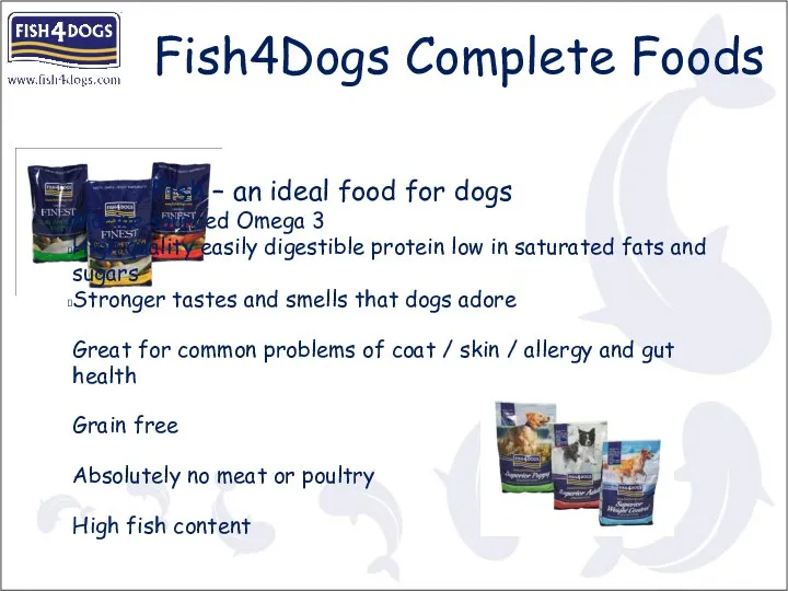 Fish – an ideal food for dogs Marine sourced Omega