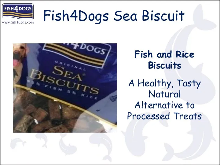 Fish and Rice Biscuits A Healthy, Tasty Natural Alternative to Processed Treats Fish4Dogs Sea Biscuit