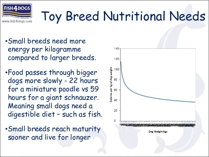 Toy Breed Nutritional Needs Small breeds need more energy per