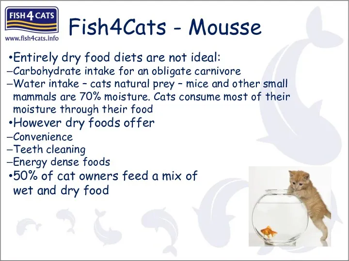 Fish4Cats - Mousse Entirely dry food diets are not ideal: