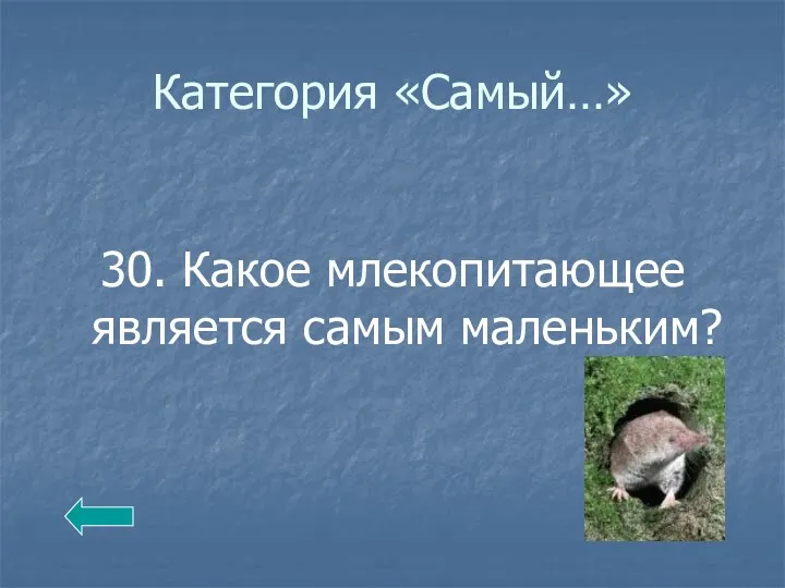 Категория «Самый…» 30. Какое млекопитающее является самым маленьким?