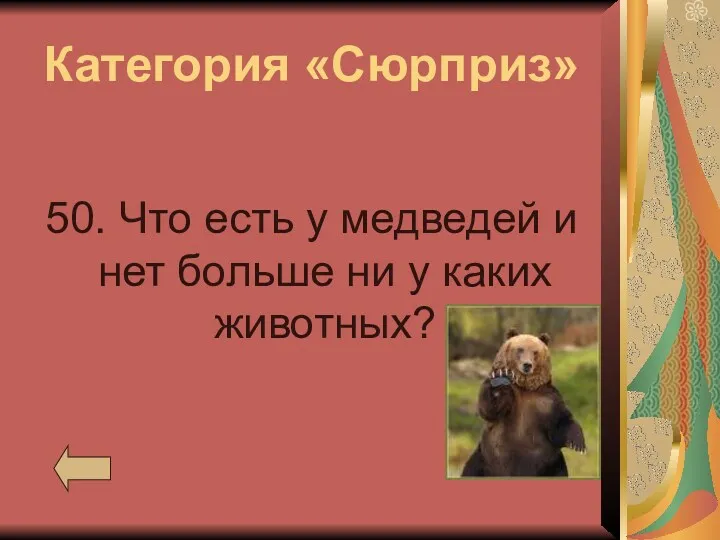 Категория «Сюрприз» 50. Что есть у медведей и нет больше ни у каких животных?