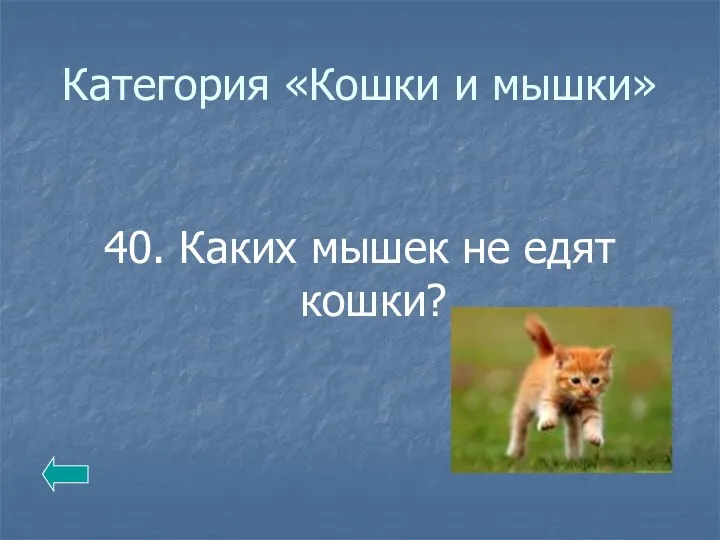 Категория «Кошки и мышки» 40. Каких мышек не едят кошки?