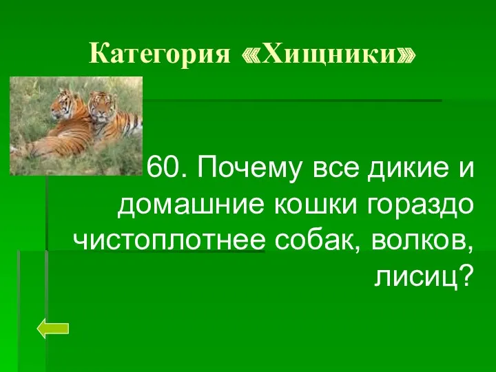 Категория «Хищники» 60. Почему все дикие и домашние кошки гораздо чистоплотнее собак, волков, лисиц?