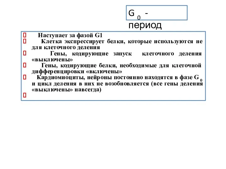 Наступает за фазой G1 Клетка экспрессирует белки, которые используются не