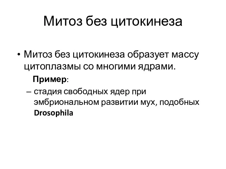 Митоз без цитокинеза Митоз без цитокинеза образует массу цитоплазмы со