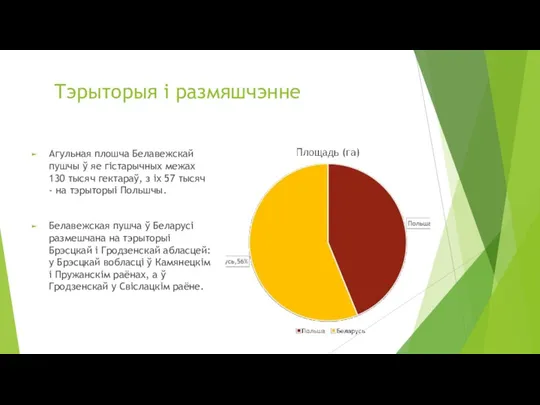 Тэрыторыя і размяшчэнне Агульная плошча Белавежскай пушчы ў яе гістарычных