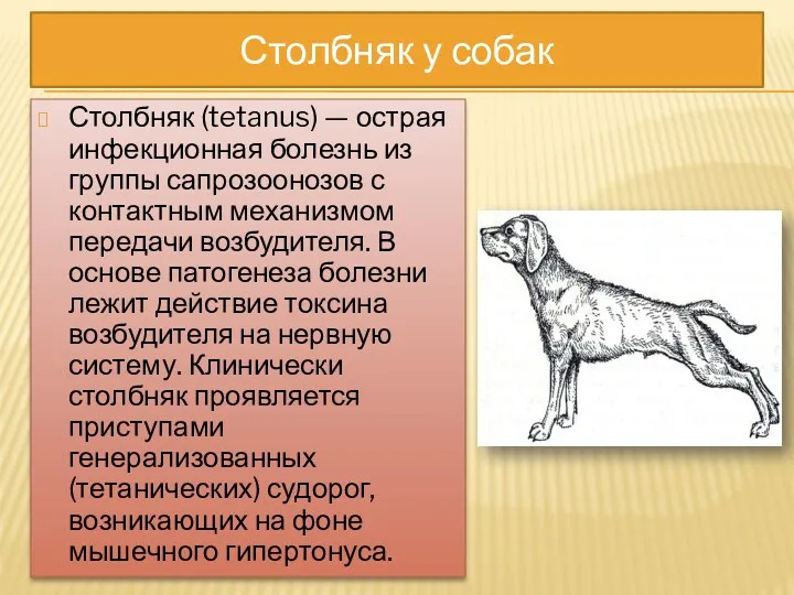 Столбняк (tetanus) — острая инфекционная болезнь из группы сапрозоонозов с