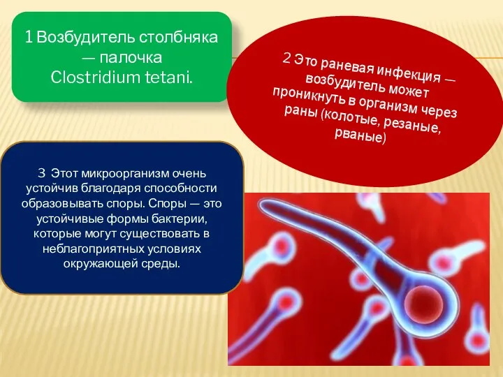 1 Возбудитель столбняка — палочка Clostridium tetani. 2 Это раневая