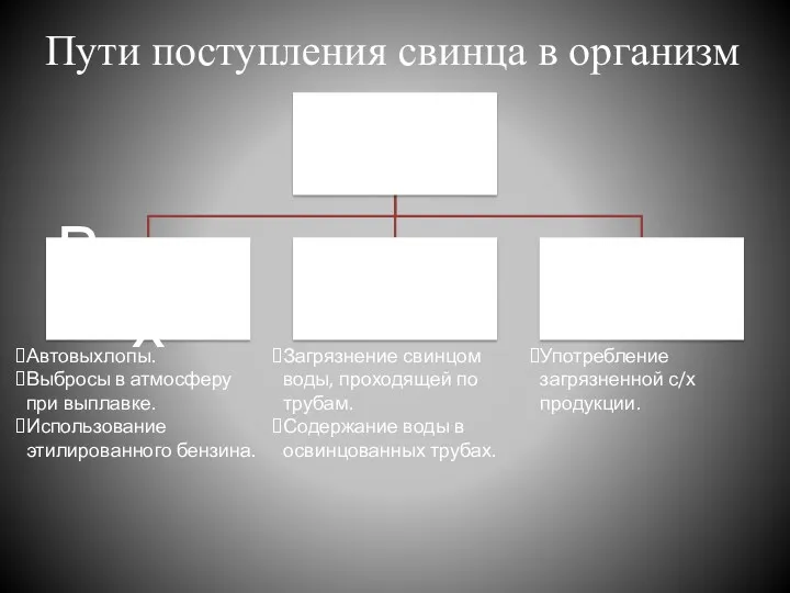 Пути поступления свинца в организм