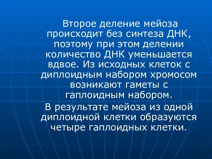 Второе деление мейоза происходит без синтеза ДНК, поэтому при этом