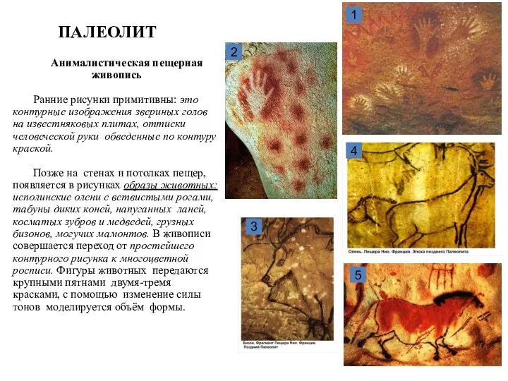 Анималистическая пещерная живопись Ранние рисунки примитивны: это контурные изображения звериных