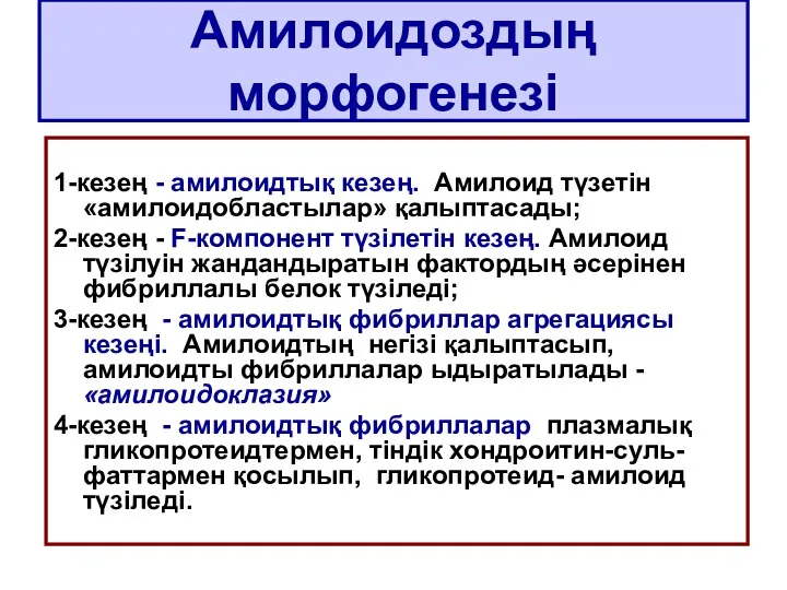 Амилоидоздың морфогенезі 1-кезең - амилоидтық кезең. Амилоид түзетін «амилоидобластылар» қалыптасады;