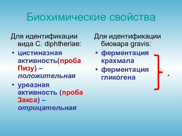 Биохимические свойства Для идентификации вида C. diphtheriae: цистиназная активность(проба Пизу)