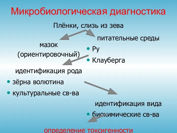 Микробиологическая диагностика