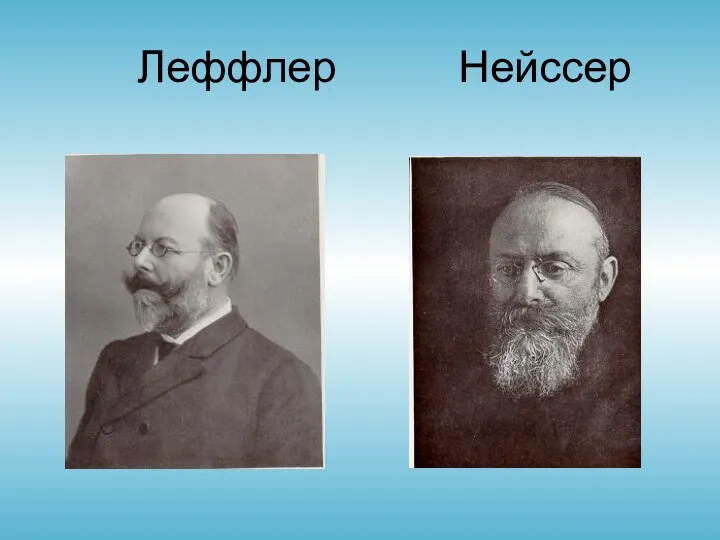 Леффлер Нейссер