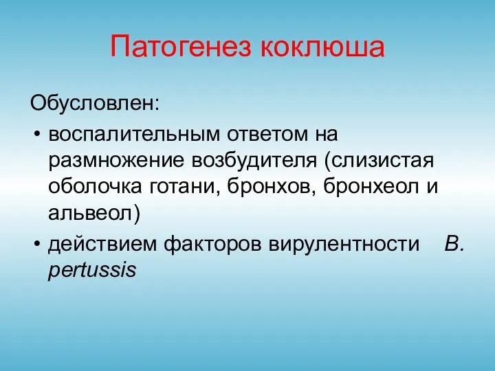 Патогенез коклюша Обусловлен: воспалительным ответом на размножение возбудителя (слизистая оболочка