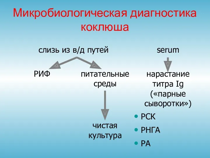 Микробиологическая диагностика коклюша