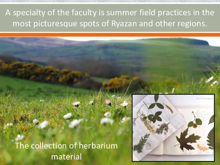 A specialty of the faculty is summer field practices in the most picturesque