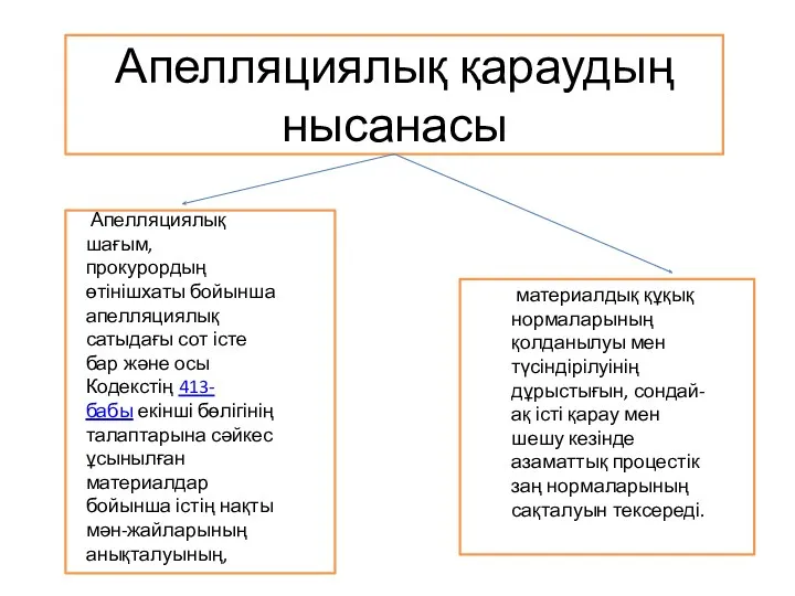 Апелляциялық қараудың нысанасы Апелляциялық шағым, прокурордың өтінішхаты бойынша апелляциялық сатыдағы