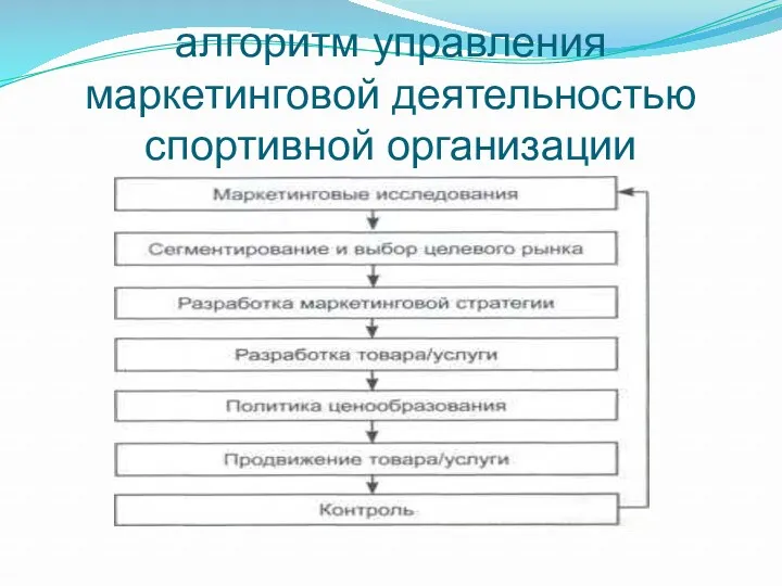 алгоритм управления маркетинговой деятельностью спортивной организации