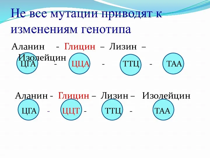 Не все мутации приводят к изменениям генотипа Аланин - Глицин