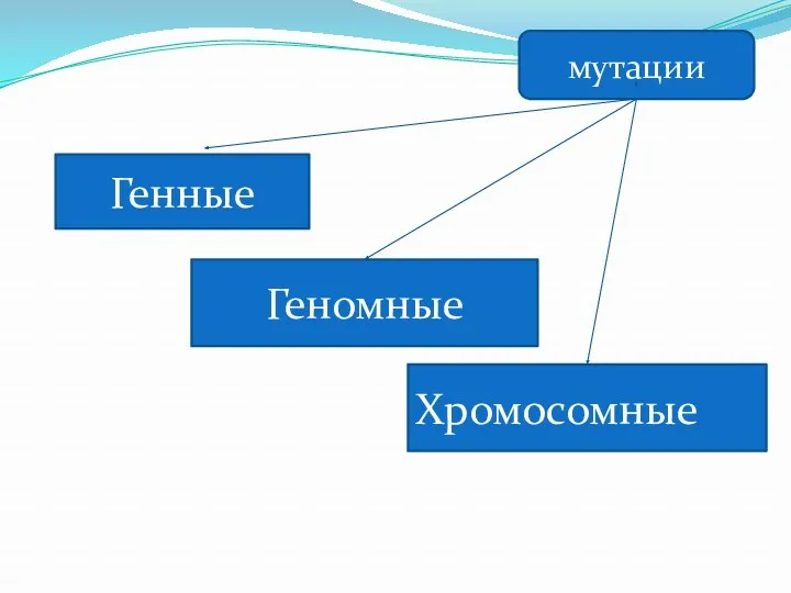 Генные Геномные Хромосомные мутации