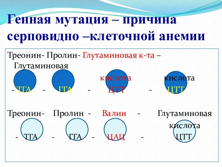 Генная мутация – причина серповидно –клеточной анемии Треонин- Пролин- Глутаминовая