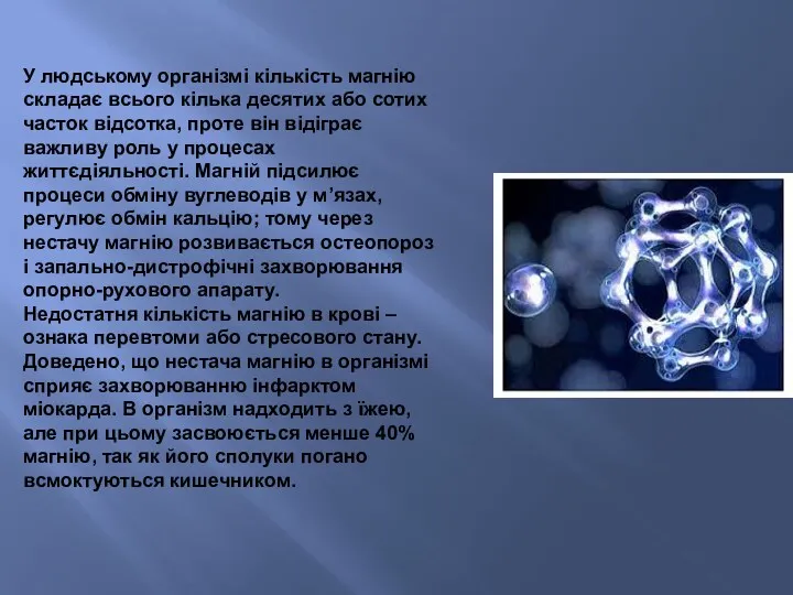 У людському організмі кількість магнію складає всього кілька десятих або сотих часток відсотка,