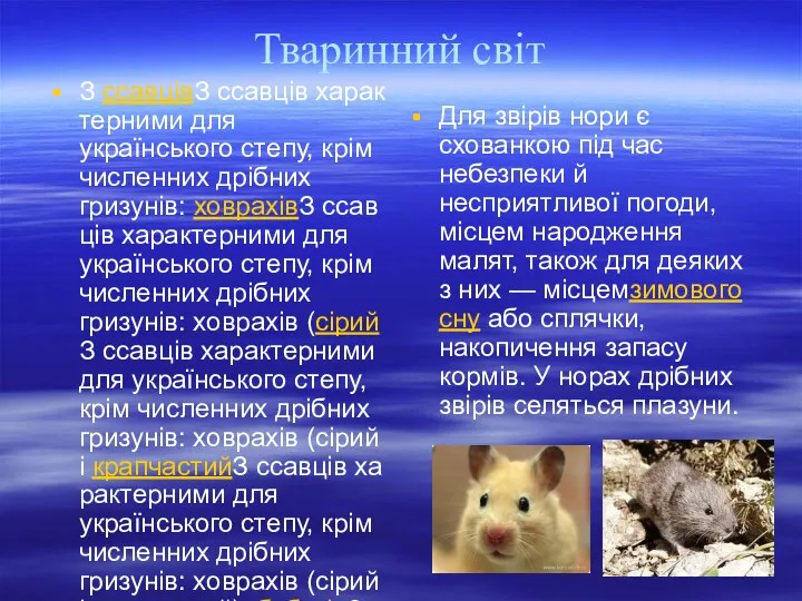 Тваринний світ З ссавцівЗ ссавців характерними для українського степу, крім